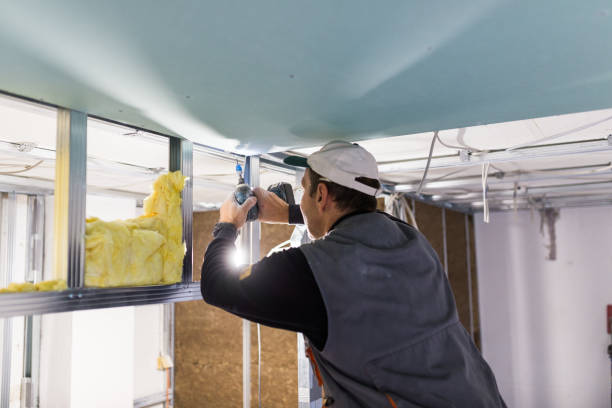 Best Batt and Roll Insulation  in Bard College, NY